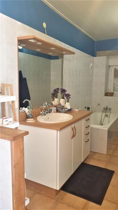 Cottage Entre Mer Et Campagne Pont-Scorff Екстер'єр фото